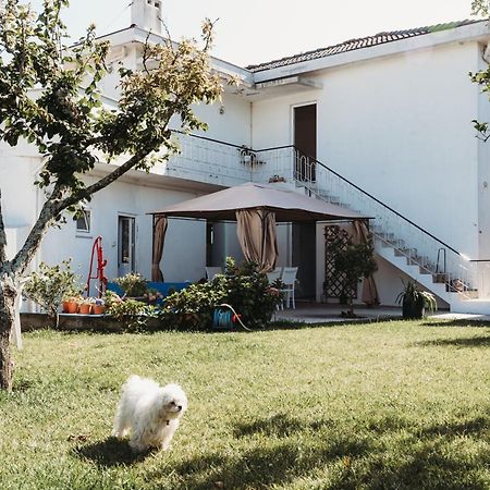 A Casa Da Estrela - Albergue De Peregrinos Fajozes ภายนอก รูปภาพ