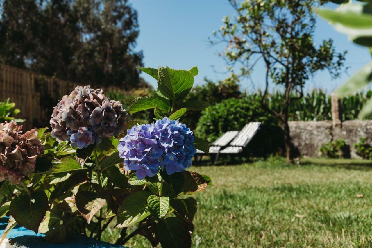 A Casa Da Estrela - Albergue De Peregrinos Fajozes ภายนอก รูปภาพ